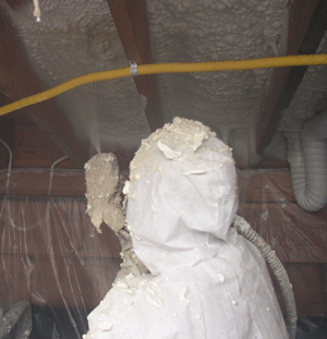 Miami FL crawl space insulation